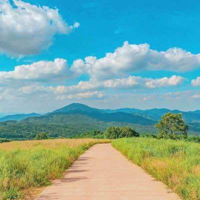 开元ky888棋牌2.3.7版