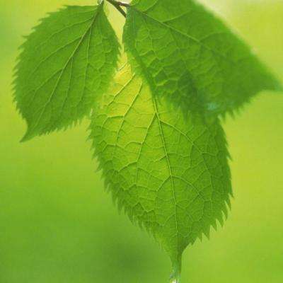 365平台官方版下载下载手机版