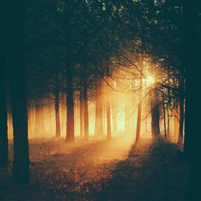 im电竞官网app下载