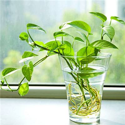 彩票app下载2023最新版